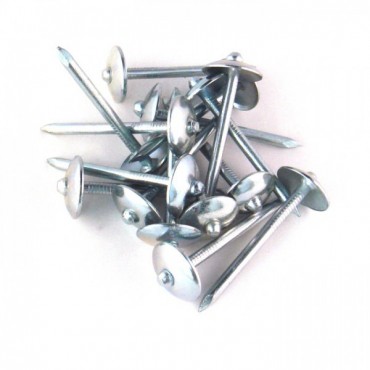 Galvanized (GI) Roofing Nail 2 1/2" 1KG