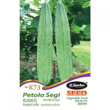 JC Garden K73 Vegetable Seed Angled Luffa / Petola Segi Biji Benih Sayur Sayuran