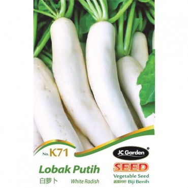 JC Garden K71 Vegetable Seed White Radish / Lobak Putih Biji Benih Sayur Sayuran