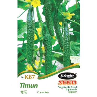 JC Garden K67 Vegetable Seed Timun / Cucumber Biji Benih Sayur Sayuran