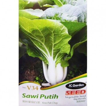 JC Garden V34 Vegetable Seed Kow Pak Choy / Sawi Putih Biji Benih Sayur Sayuran