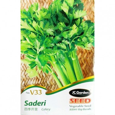 JC Garden V33 Vegetable Seed Celery / Saderi Biji Benih Sayur Sayuran