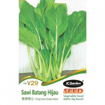 JC Garden V29 Vegetable Seed Choy Sum Green Stem / Sawi Batang Hijau Biji Benih Sayur Sayuran