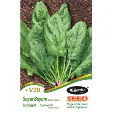 JC Garden V28 Vegetable Seed Spinach Heat Resist / Sayur Bayam Tahan Panas Biji Benih Sayur Sayuran