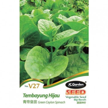 JC Garden V27 Vegetable Seed Green Ceylon Spinach / Tembayung Hijau Biji Benih Sayur Sayuran