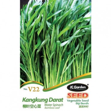 JC Garden V22 Vegetable Seed Water Spinach Bamboo Leaf / Kangkung Darat Biji Benih Sayur Sayuran