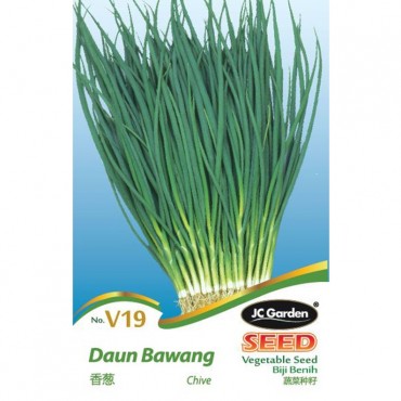 JC Garden V19 Vegetable Seed Chive / Daun Bawang Biji Benih Sayur Sayuran