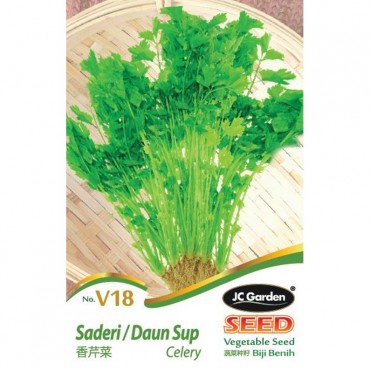 JC Garden V18 Vegetable Seed Celery / Saderi Daun Sup Biji Benih Sayur Sayuran