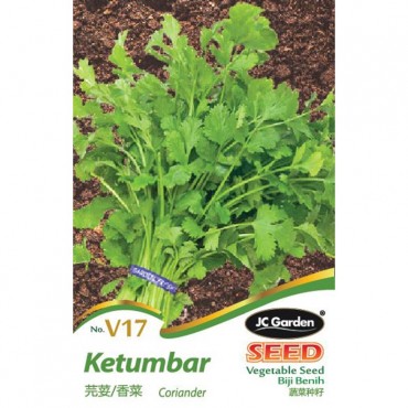 JC Garden V17 Vegetable Seed Coriander / Ketumbar Biji Benih Sayur Sayuran