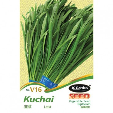 JC Garden V16 Vegetable Seed Leek / Kuchai Biji Benih Sayur Sayuran