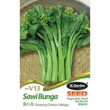 JC Garden V13 Vegetable Seed Flowering Chinese Cabbage / Sawi Bunga Biji Benih Sayur Sayuran