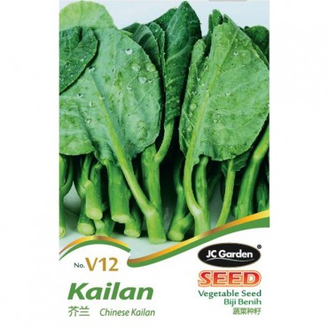 JC Garden V12 Vegetable Seed Chinese Kailan/ Kailan Biji Benih Sayur Sayuran