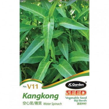 JC Garden V11 Vegetable Seed Water Spinach / Kangkong Biji Benih Sayur Sayuran