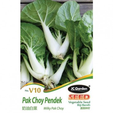 JC Garden V10 Vegetable Seed Milky Pak Choy / Pak Choy Pendek Biji Benih Sayur Sayuran