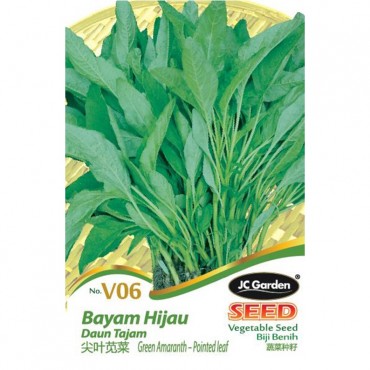 JC Garden V06 Vegetable Seed Green Amaranth-Pointed Leaf/ Bayam Hijau Daun Tajam Biji Benih Sayur Sayuran