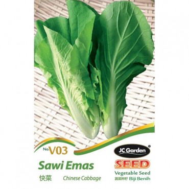 JC Garden V03 Vegetable Seed Chinese Cabbage / Sawi Emas Biji Benih Sayur Sayuran