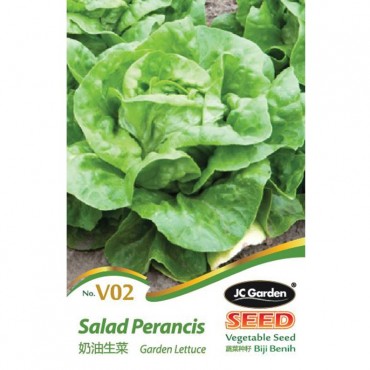 JC Garden V02 Vegetable Seed Garden Lettuce / Salad Perancis Biji Benih Sayur Sayuran