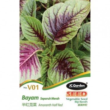 JC Garden V01 Vegetable Seed Amaranth Half Red / Bayam Separuh Merah Biji Benih Sayur Sayuran